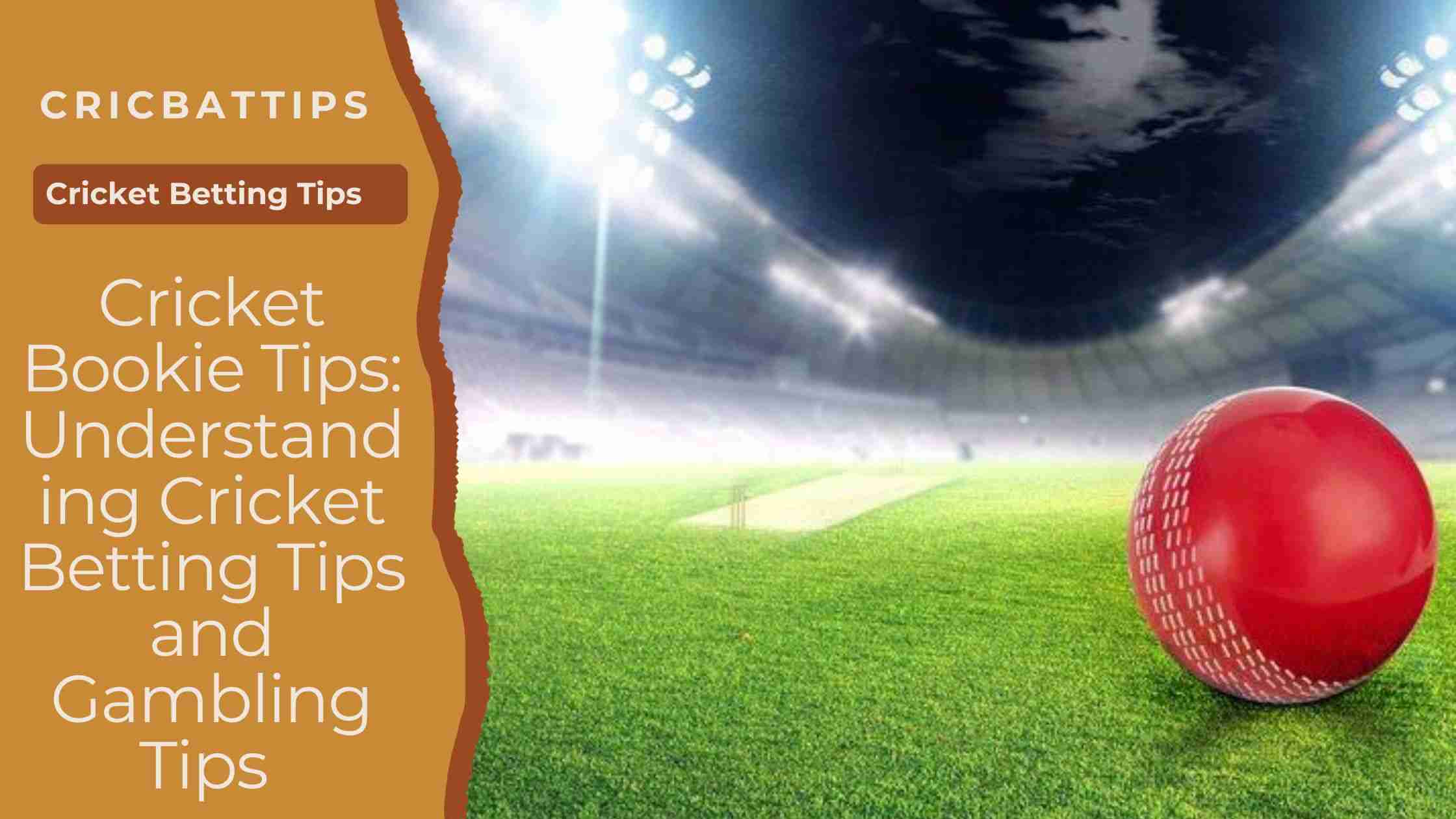 Cricket Bookie Tips Understanding Cricket Betting Tips and Gambling Tips 